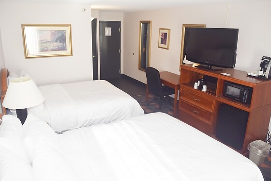 Online Booking EPS - photo 2