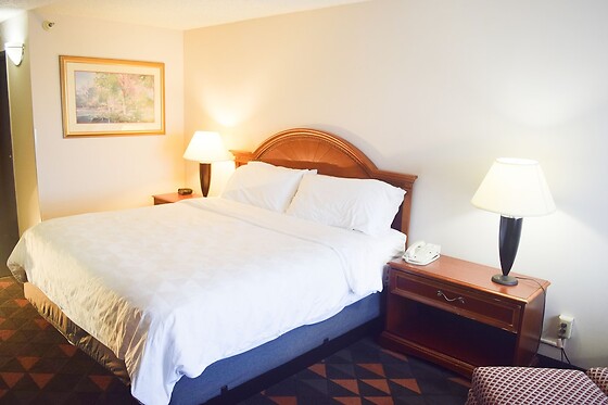 Online Booking EPS - photo 1
