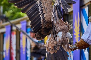 Puy du Fou in France - 2 Tickets + One Night Stay