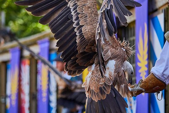 Puy du Fou - 2 Tickets