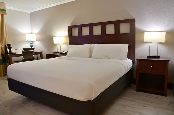 Online Booking EPS - photo 5