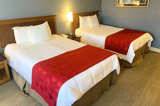 Online Booking EPS - photo 2