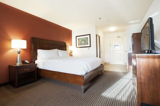 Online Booking EPS - photo 0