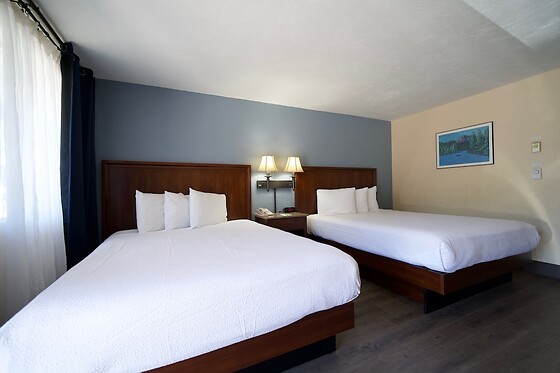 Online Booking EPS - photo 1