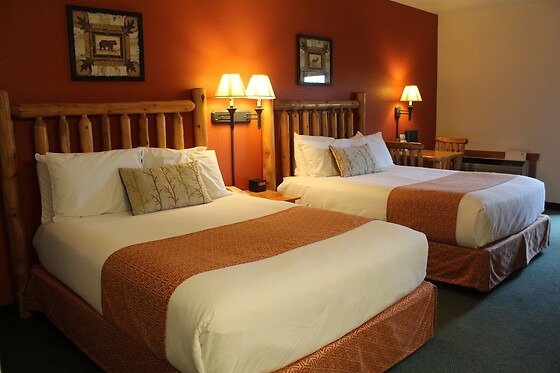 Online Booking EPS - photo 1