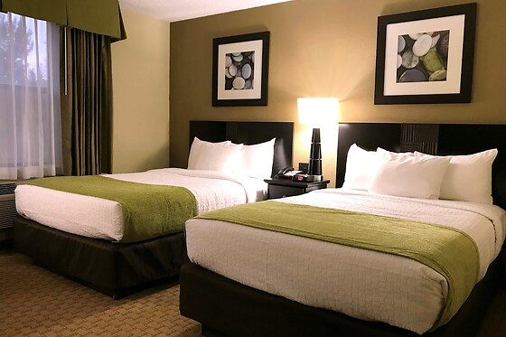 Online Booking EPS - photo 1