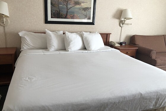 Online Booking EPS - photo 1