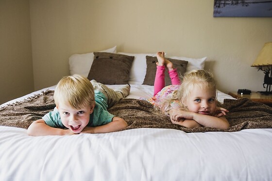 Online Booking EPS - photo 2