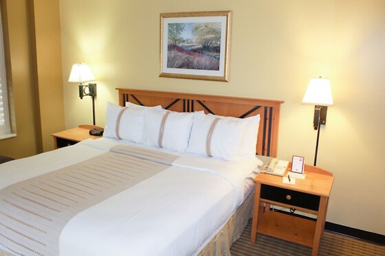 Online Booking EPS - photo 2