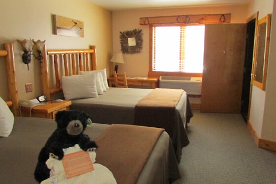 Online Booking EPS - photo 1