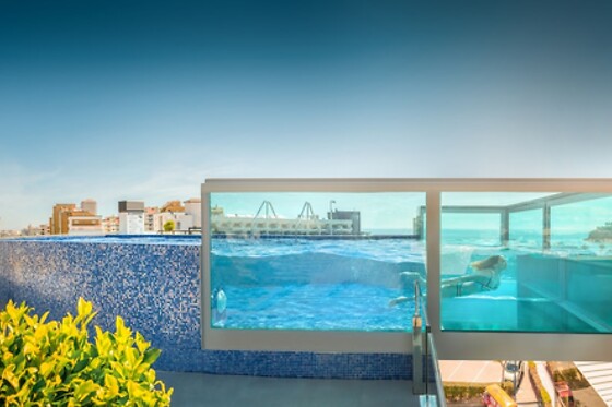 Online Booking EPS - photo 0