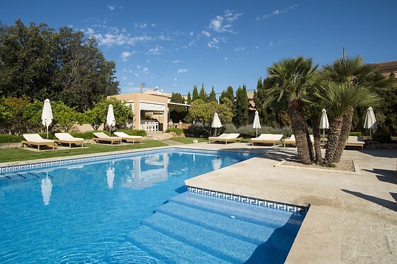 Online Booking EPS - photo 3