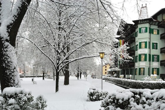 Online Booking EPS - photo 0