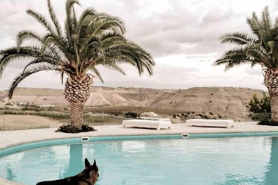 Online Booking EPS - photo 3