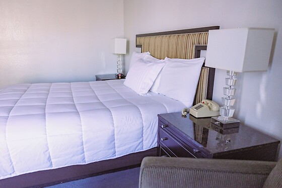 Online Booking EPS - photo 2