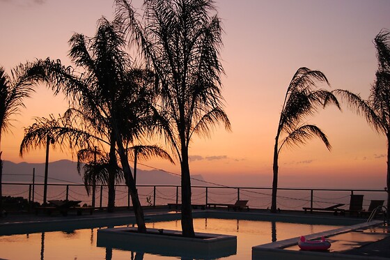 Online Booking EPS - photo 3