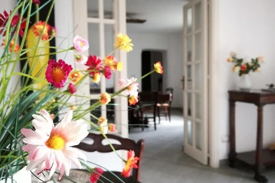 Online Booking EPS - photo 4
