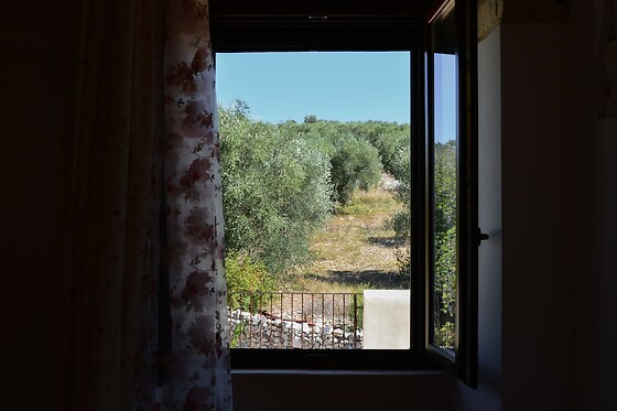 Online Booking EPS - photo 1