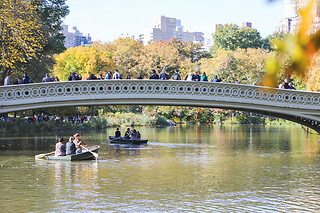 Bike Rental DAYPASS at Unlimited Biking New York
