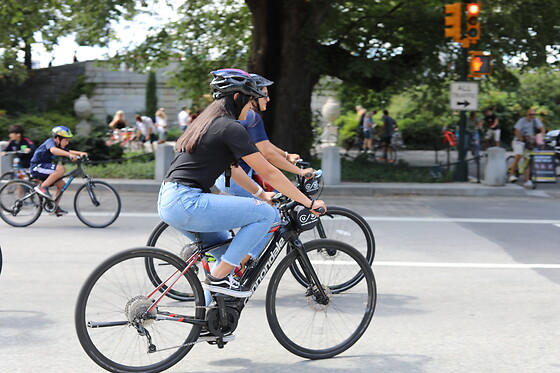 2-hour rent bike at Unlimited Biking Golden Gate Park