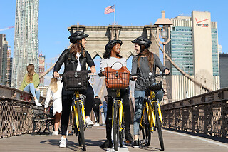 2-hour rent bike at Unlimited Biking Golden Gate Park