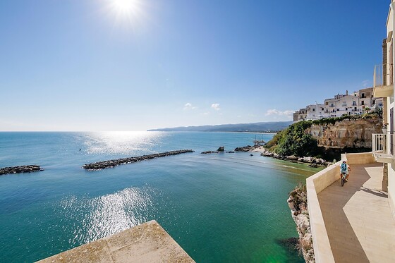 Online Booking EPS - photo 3