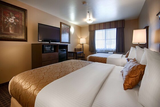 Online Booking EPS - photo 9