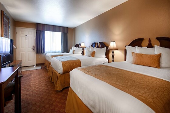 Online Booking EPS - photo 5