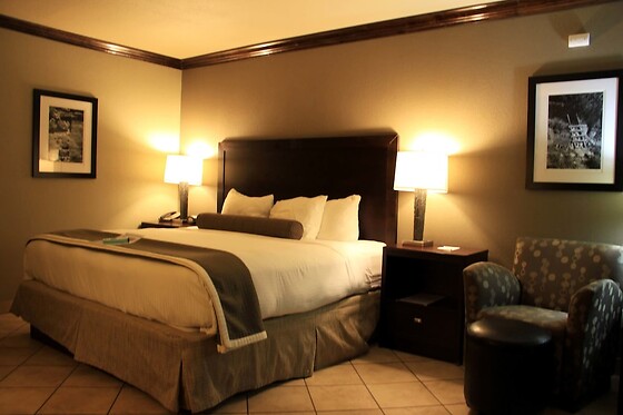 Online Booking EPS - photo 1