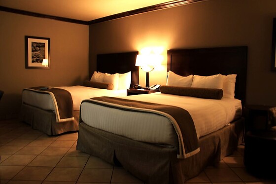 Online Booking EPS - photo 5