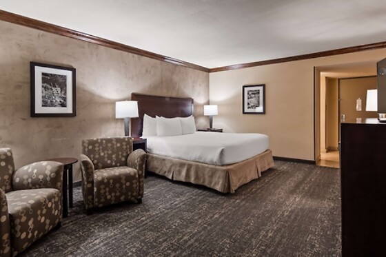 Online Booking EPS - photo 7