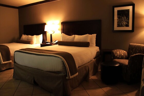 Online Booking EPS - photo 10