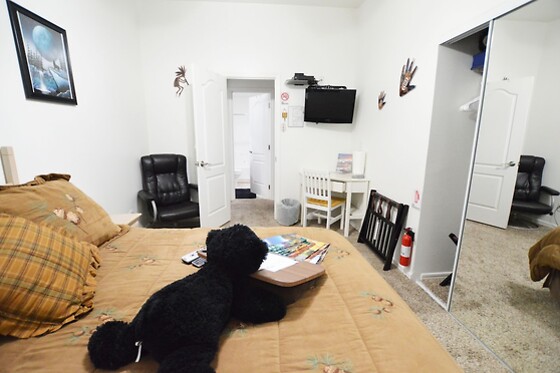 Online Booking EPS - photo 5