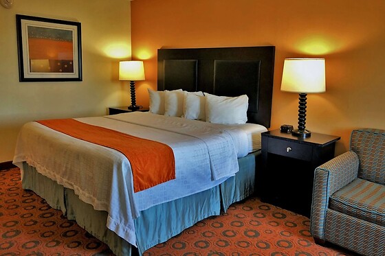 Online Booking EPS - photo 0