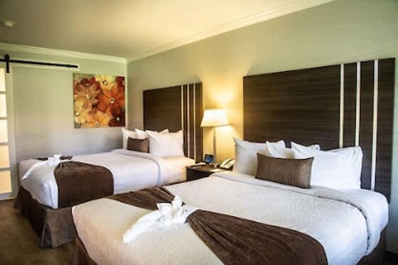 Online Booking EPS - photo 1