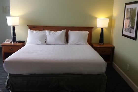 Online Booking EPS - photo 2