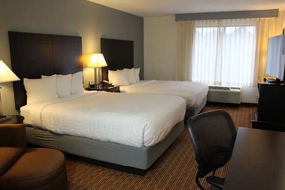 Online Booking EPS - photo 2
