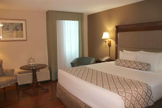 Online Booking EPS - photo 9