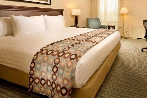 Online Booking EPS - photo 6