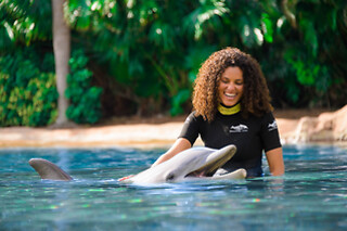 SeaWorld Orlando Admission in Orlando, FL
