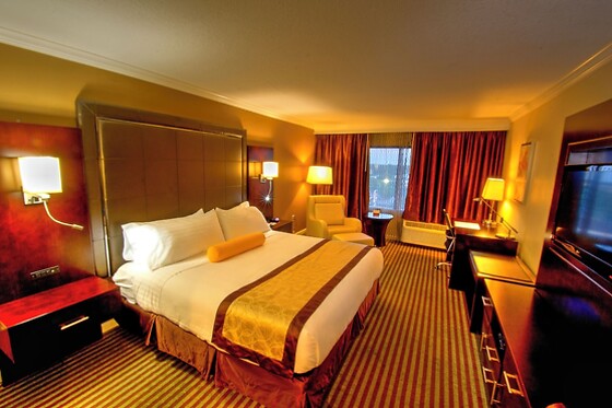 Online Booking EPS - photo 1