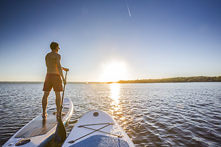 Stand up Paddle with Sea Lions at Fun Surf LA, Marina del Rey