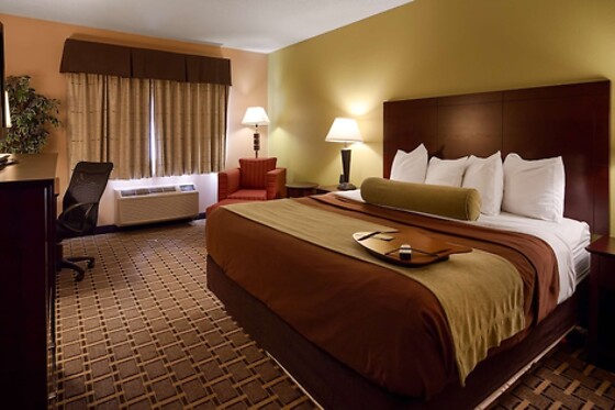 Online Booking EPS - photo 7