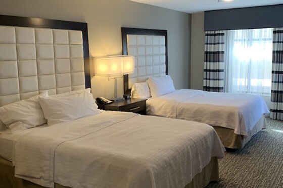 Online Booking EPS - photo 0