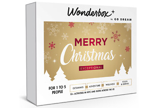 Merry Christmas Exceptional