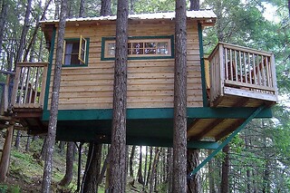 Vertical Horizons Treehouse