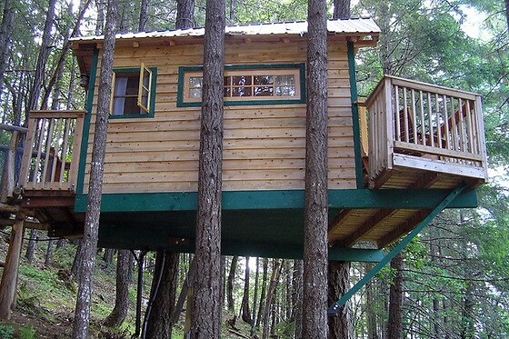 Vertical Horizons Treehouse