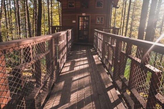 Vertical Horizons Treehouse