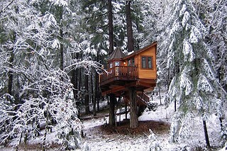 Vertical Horizons Treehouse