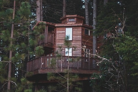 Vertical Horizons Treehouse